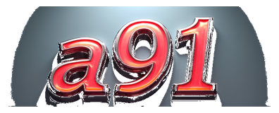a91 logo